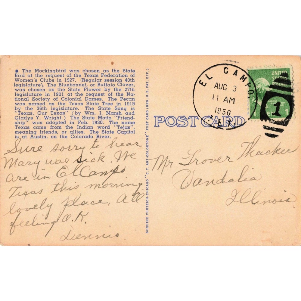 Vintage 1950 Texas State Bird Mockingbird Bluebonnet Linen Postcard El Campo TX - Picture 2 of 2